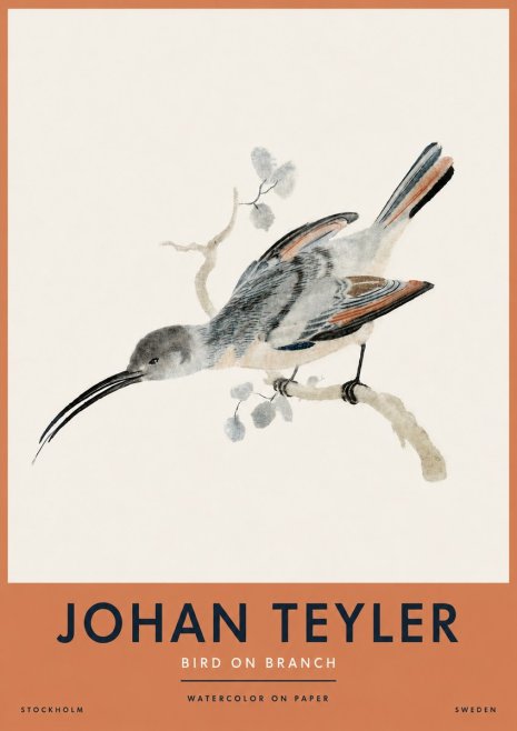 Johan Teyler Bird on Branch I No4 - Plakát