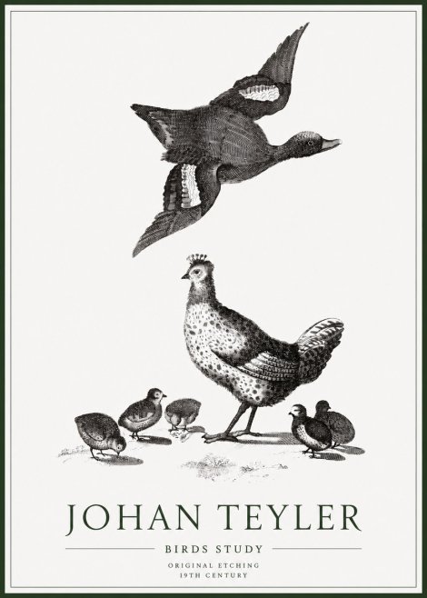 Johan Teyler Birds Study No1 - Plakát