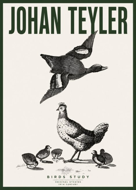 Johan Teyler Birds Study No4 - Plakát