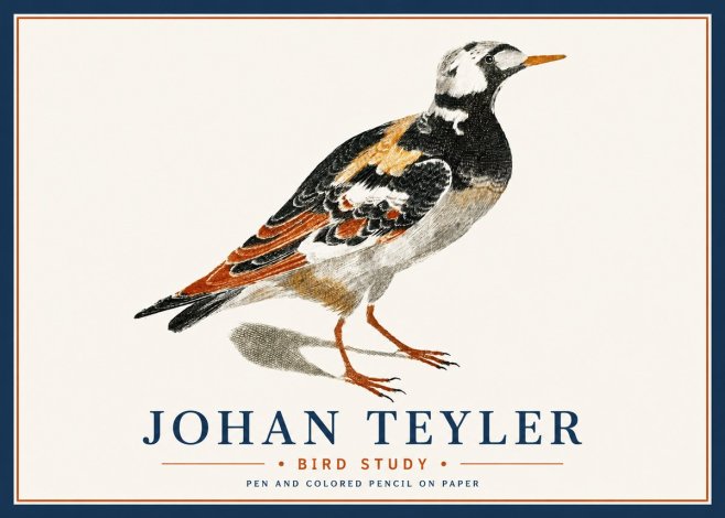 Johan Teyler Bird Study IV No6 - Plakát