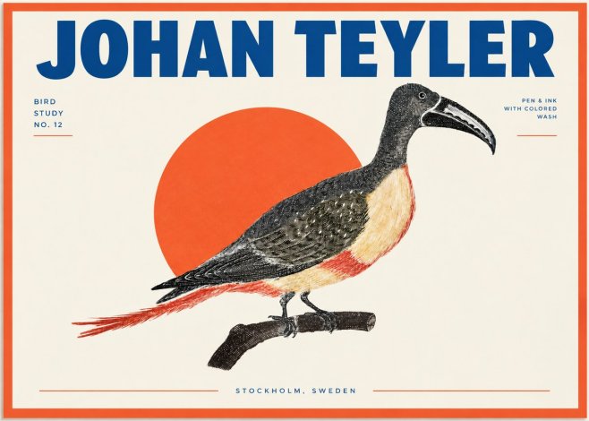 Johan Teyler Bird Study No. 12 - Original Drawing No2 - Plakát