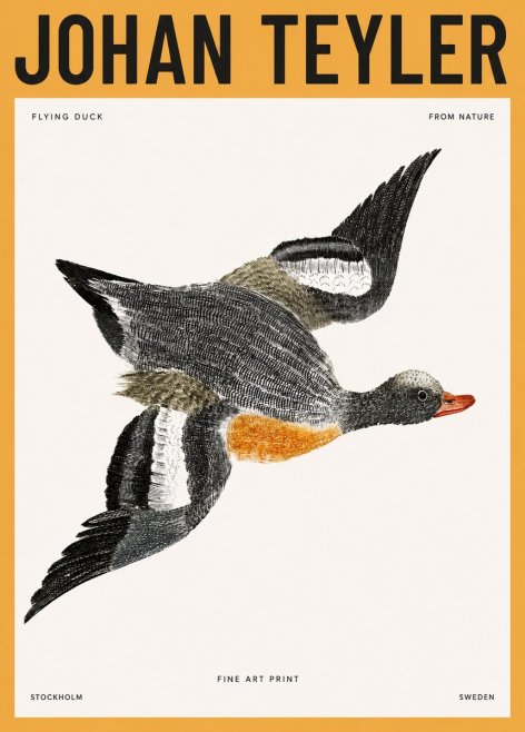 Johan Teyler Flying Duck No3 - Plakát