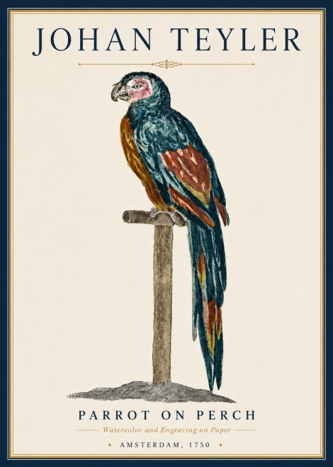 Johan Teyler Parrot on Perch No5 - Plakát