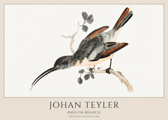 Johan Teyler Bird on Branch II No1 - Plakát