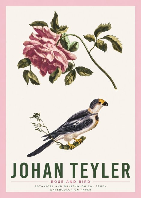 Johan Teyler Rose and Bird I No4 - Plakát