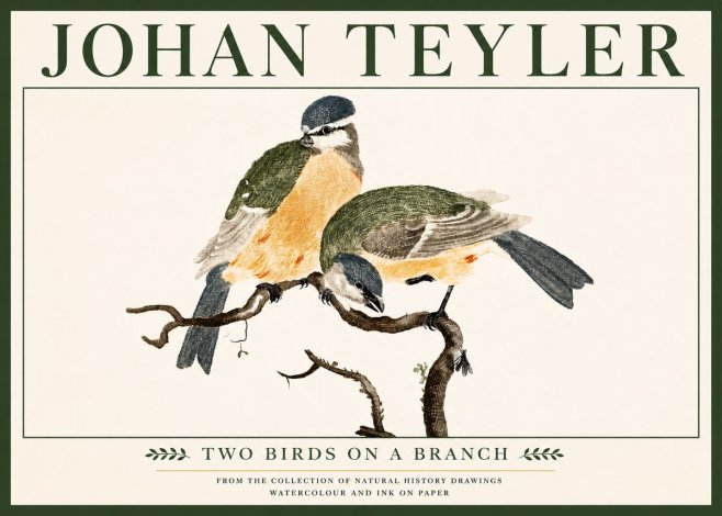 Johan Teyler Two Birds on a Branch No5 - Plakát