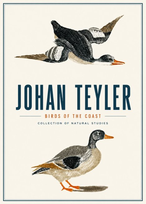 Johan Teyler Birds of the Coast No4 - Plakát