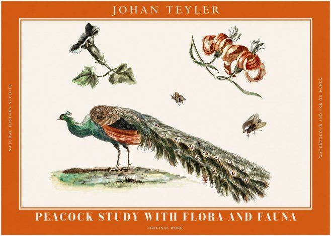 Johan Teyler Peacock Study with Flora and Fauna No2 - Plakát