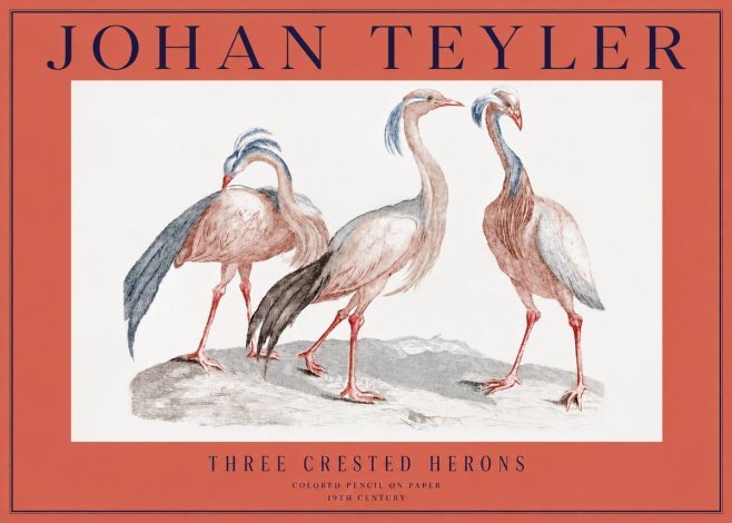 Johan Teyler Three Crested Herons No2 - Plakát