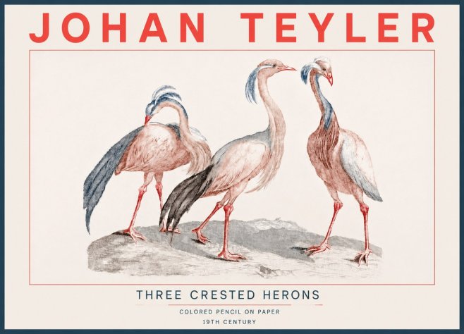 Johan Teyler Three Crested Herons No4 - Plakát