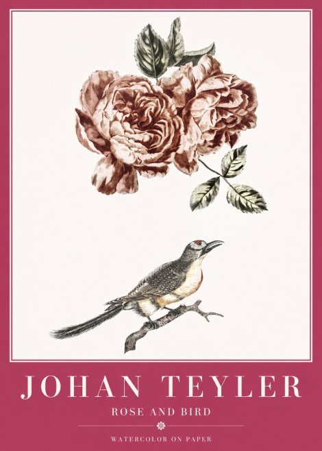 Johan Teyler Rose and Bird II No2 - Plakát