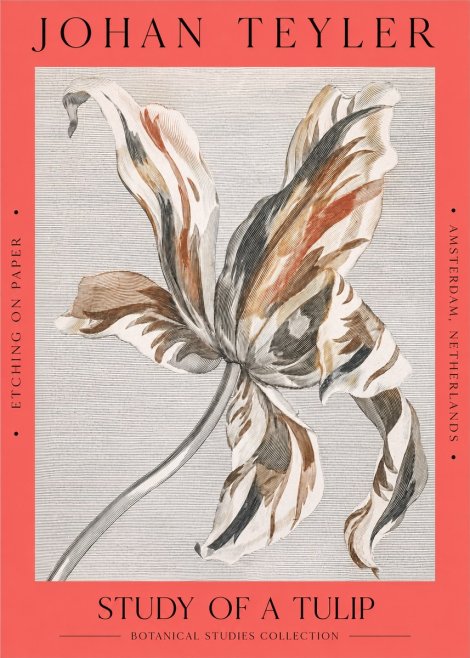 Johan Teyler Study of a Tulip No2 - Plakát