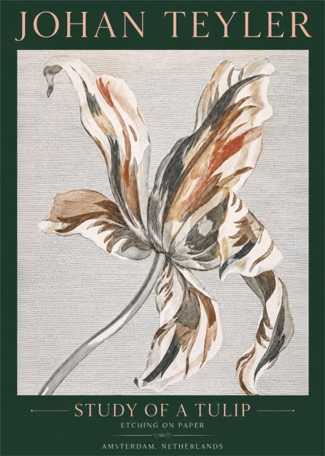 Johan Teyler Study of a Tulip No4 - Plakát