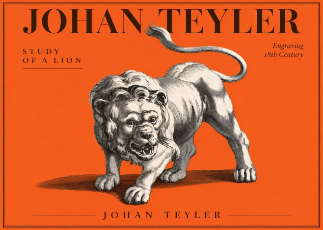 Johan Teyler Study of a Lion No3 - Plakát