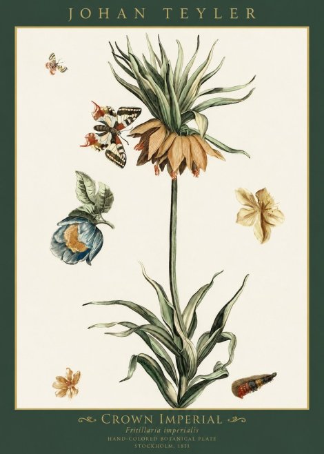Johan Teyler Crown Imperial No1 - Plakát