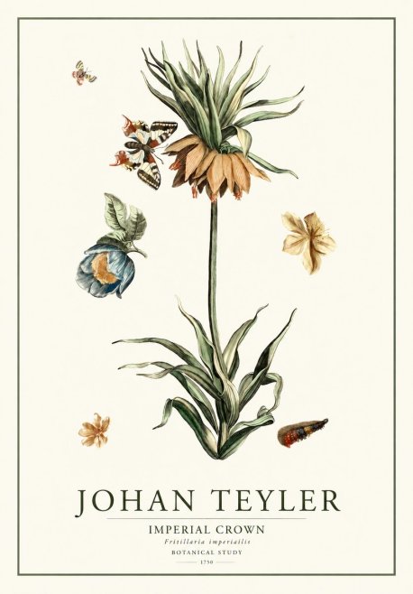 Johan Teyler Crown Imperial No2 - Plakát