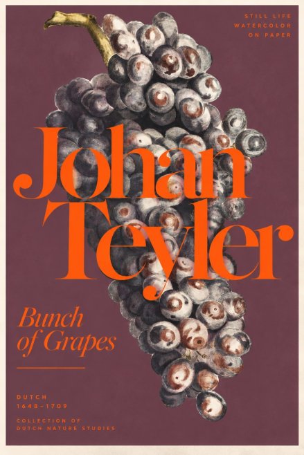 Johan Teyler Bunch of Grapes No3 - Plakát