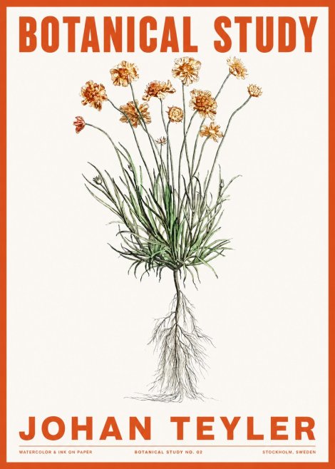 Johan Teyler Botanical Study No. 01 No2 - Plakát