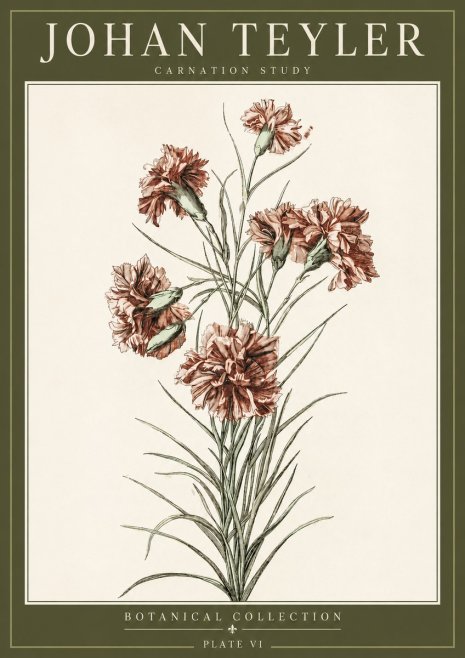 Johan Teyler Carnation Study No3 - Plakát