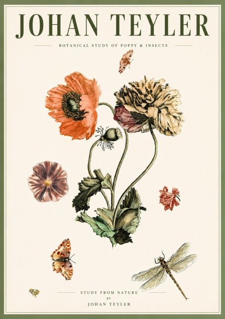 Johan Teyler Botanical Study of Poppy & Insects No5 - Plakát