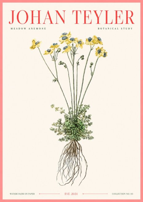 Johan Teyler Meadow Anemone No3 - Plakát