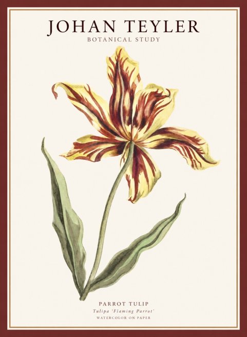 Johan Teyler Floral Study I No5 - Plakát