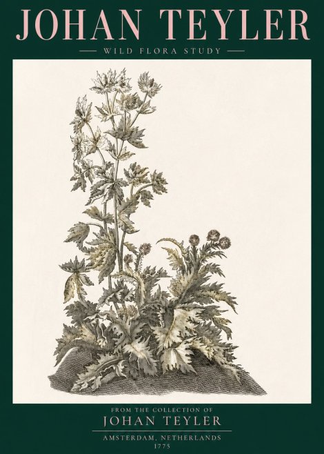 Johan Teyler Wild Flora Study No3 - Plakát