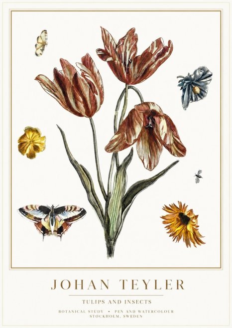 Johan Teyler Tulips and Insects No1 - Plakát