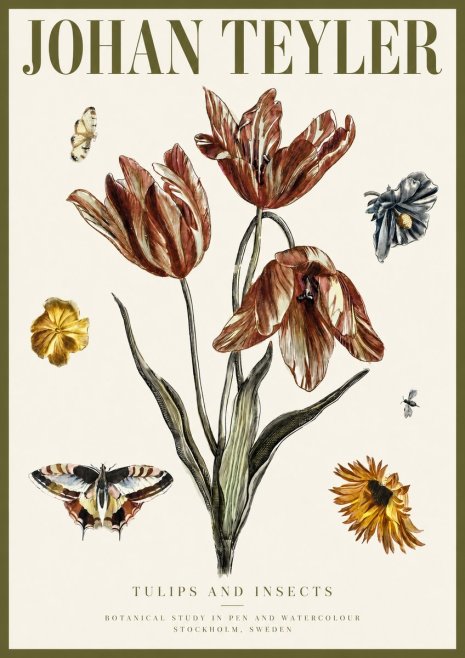 Johan Teyler Tulips and Insects No3 - Plakát