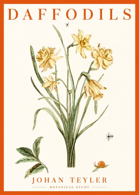 Johan Teyler Daffodils No2 - Plakát