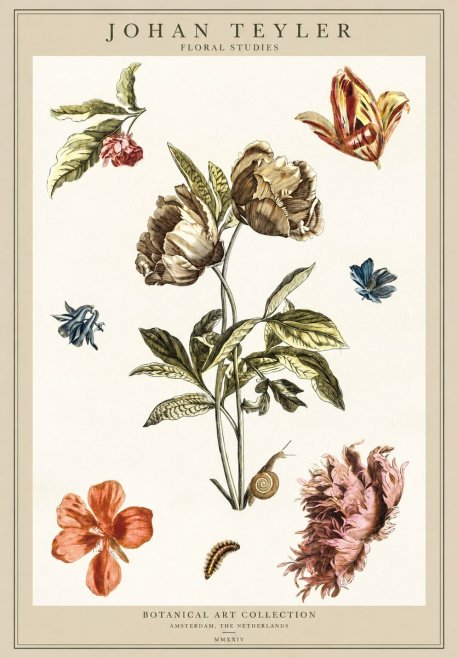 Johan Teyler Floral Studies No1 - Plakát