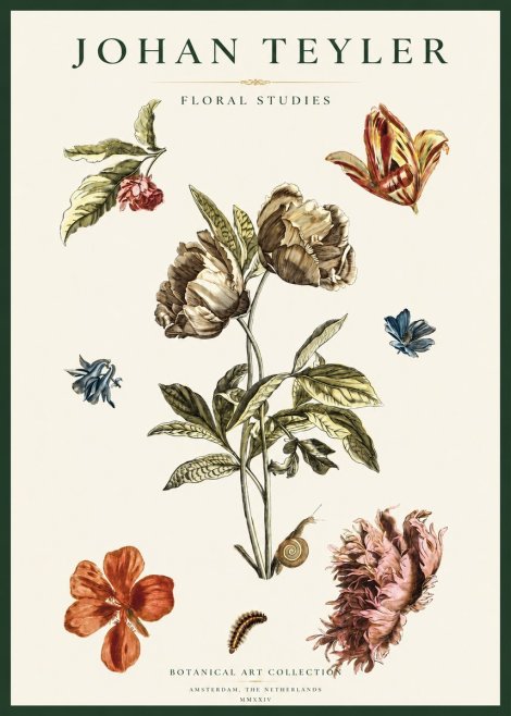 Johan Teyler Floral Studies No2 - Plakát