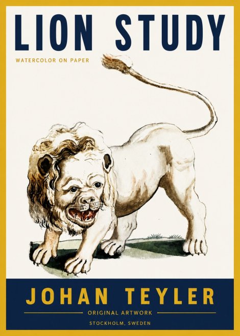 Johan Teyler Lion Study No4 - Plakát
