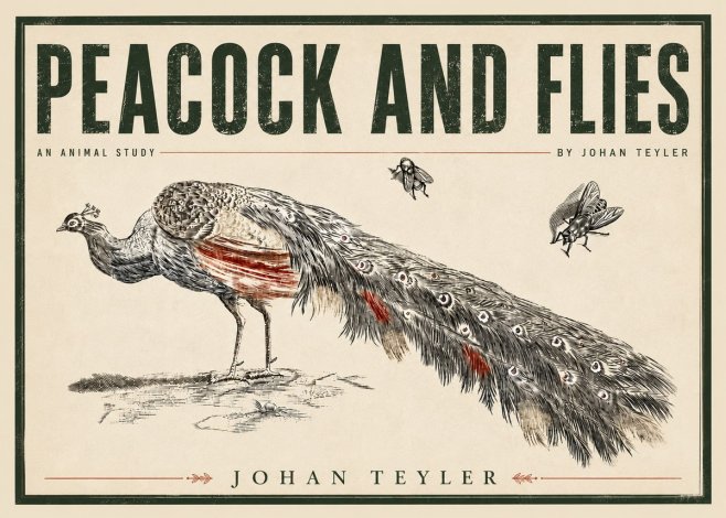 Johan Teyler Peacock and Flies - Animal Study No5 - Plakát