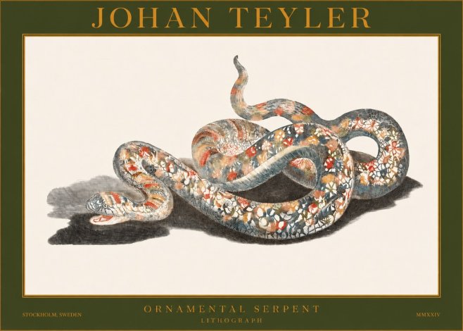 Johan Teyler Ornamental Serpent No1 - Plakát
