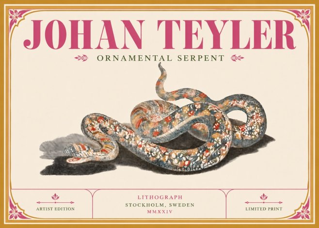 Johan Teyler Ornamental Serpent No6 - Plakát