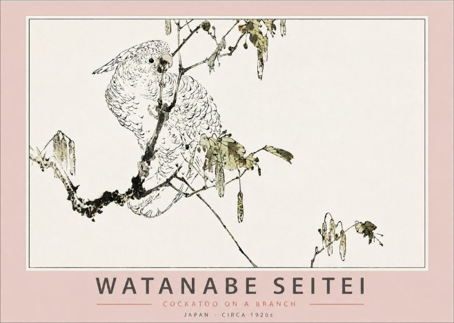 Watanabe Seitei Cockatoo on a Branch No3 - Plakát