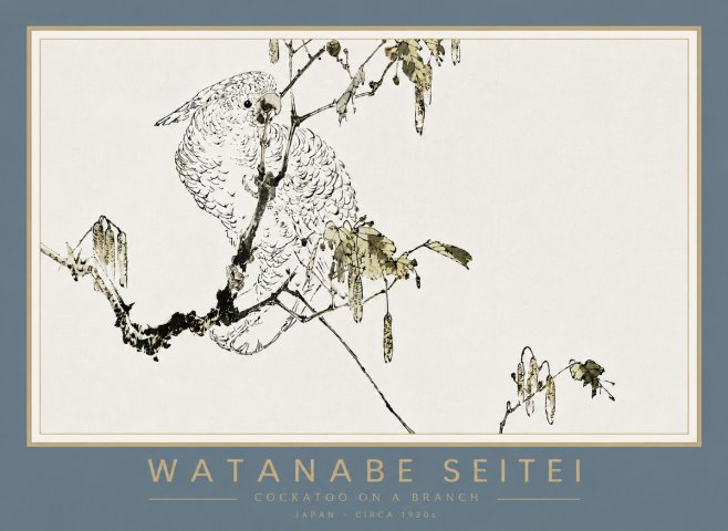 Watanabe Seitei Cockatoo on a Branch No4 - Plakát