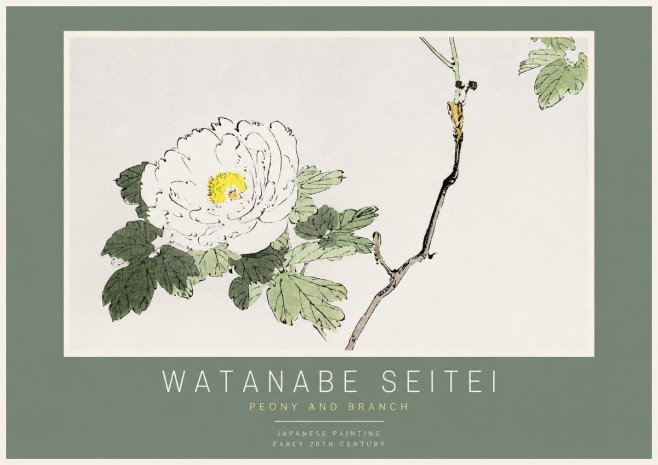 Watanabe Seitei Peony and Branch No2 - Plakát