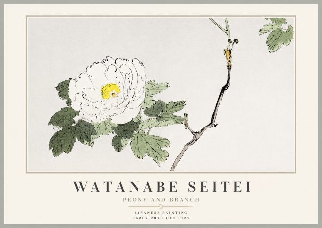 Watanabe Seitei Peony and Branch No3 - Plakát