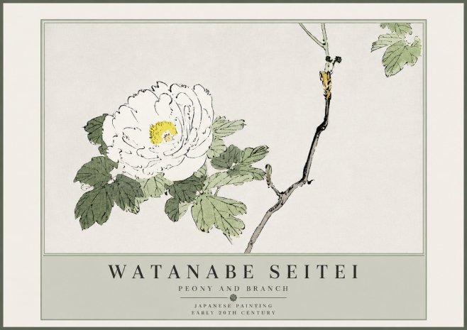 Watanabe Seitei Peony and Branch No5 - Plakát