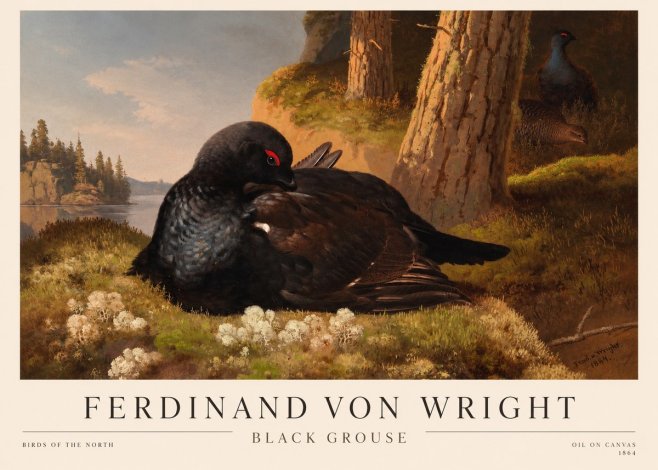 Ferdinand von Wright The Black Grouse No3 - Plakát