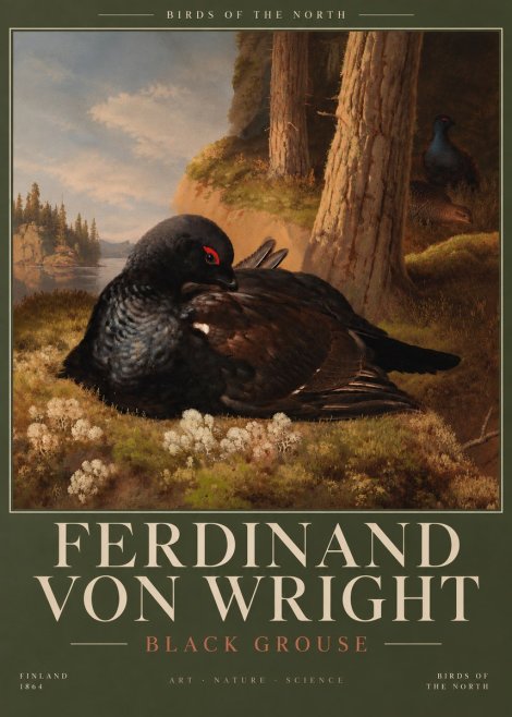 Ferdinand von Wright The Black Grouse No6 - Plakát