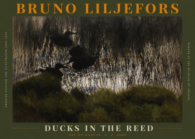 Bruno Liljefors Ducks in the Reed No3 - Plakát