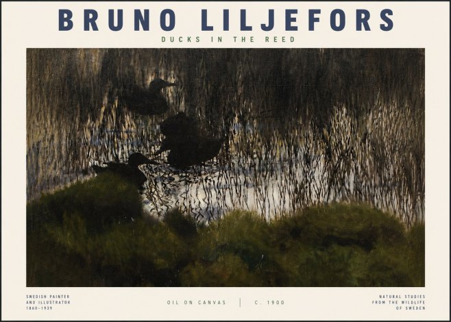 Bruno Liljefors Ducks in the Reed No4 - Plakát