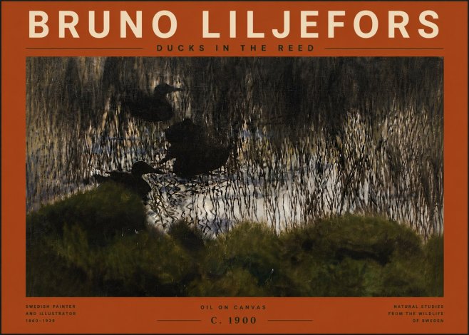 Bruno Liljefors Ducks in the Reed No6 - Plakát
