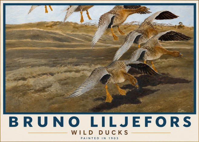Bruno Liljefors Wild Ducks I No5 - Plakát