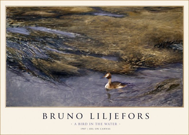 Bruno Liljefors A Bird in the Water No1 - Plakát