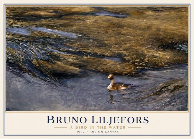 Bruno Liljefors A Bird in the Water No3 - Plakát