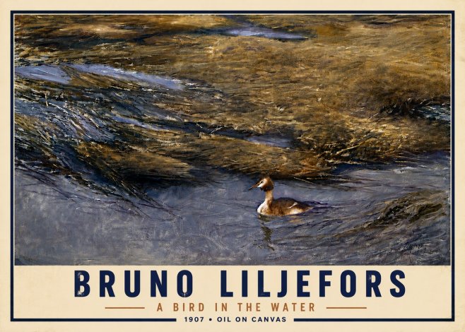 Bruno Liljefors A Bird in the Water No5 - Plakát